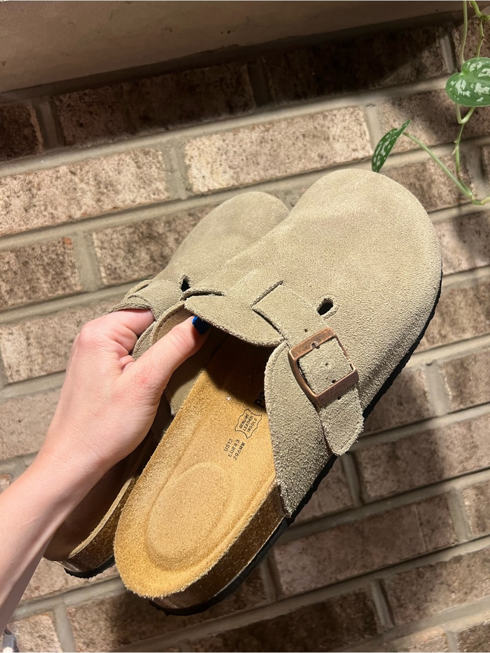 Project Cloud Mens Clogs